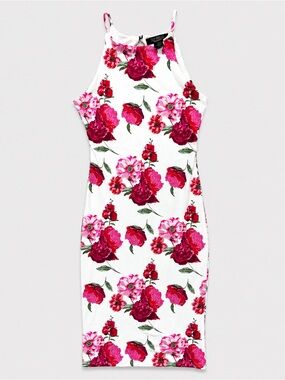 Joe & Elle Floral Midi Dress Small Pink Red Rose Print Sleeveless Spring Summer